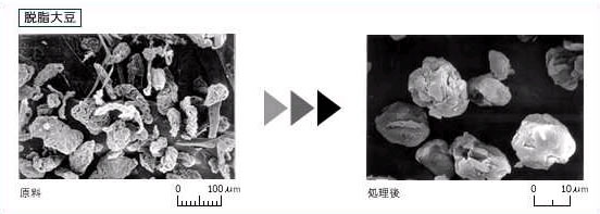 脱脂大豆　原料　処理