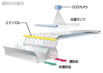 選別の仕組み