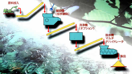 基本フロー