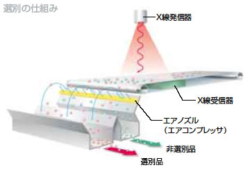 選別の仕組み